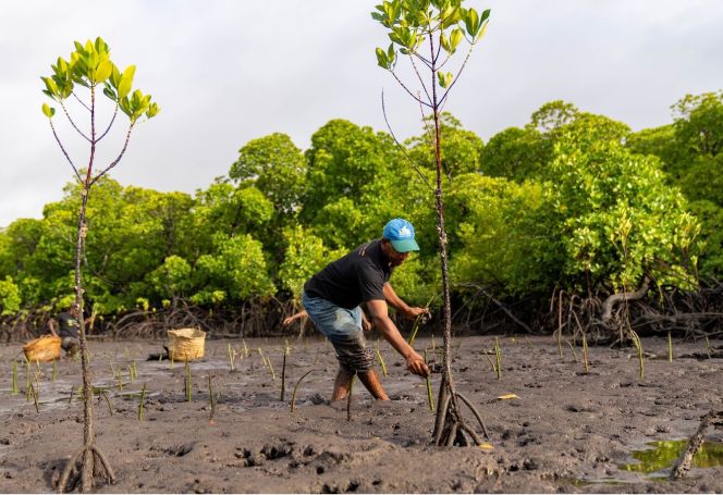 Sustainability Initiatives